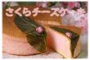 桜が香るふわふわチーズケーキ【お菓子の店　おうみどう】