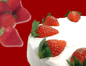 季節限定　いちごのケーキ（生）【コミュニティ菓子工房　ＫＩＭＩＫＯ】