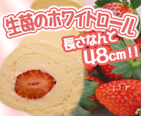 48cm！生苺のホワイトロール長巻&キャンディロール【イエローパンプキン】