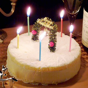 Xmasカマンベールチーズケーキ【PARIS 16e】