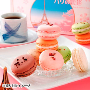 ニコラ・ブッサンのマカロン　パリの桜塔10個入